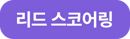 리드 스코어링_버튼 리드 스코어링_버튼